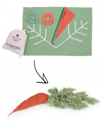 Cathy The Carrot DIY toy